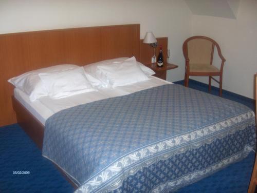 Hotel Panzio Sissi à Gödöllő Extérieur photo
